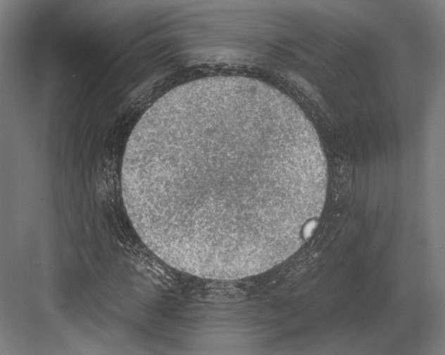 X0000081570918200702121418