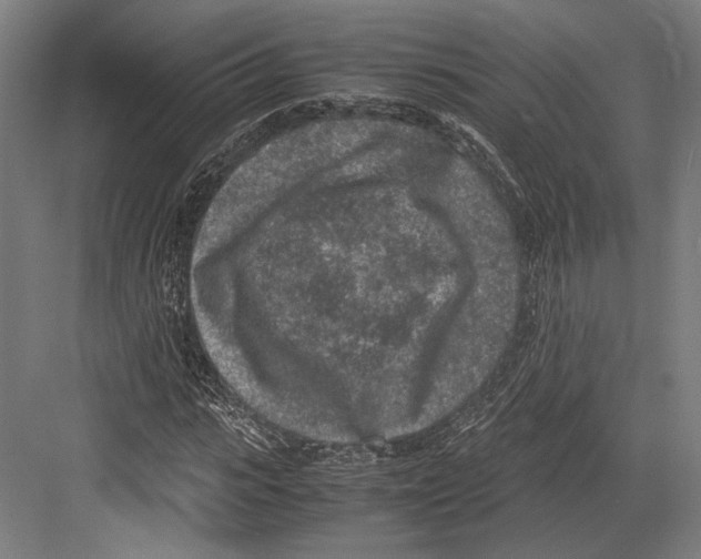 X0000081570919200702121418