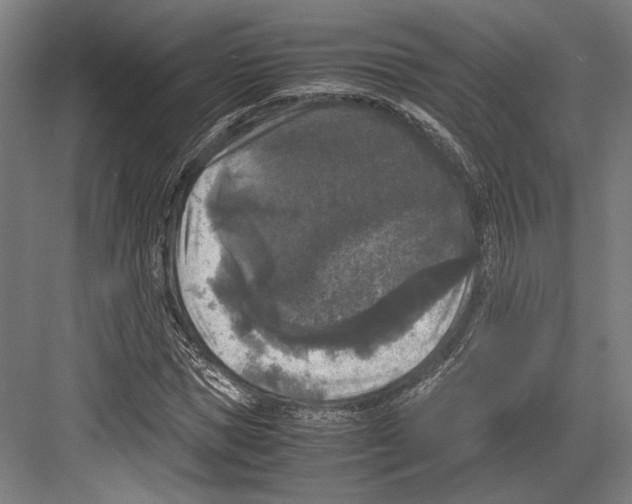 X0000081570921200702121418