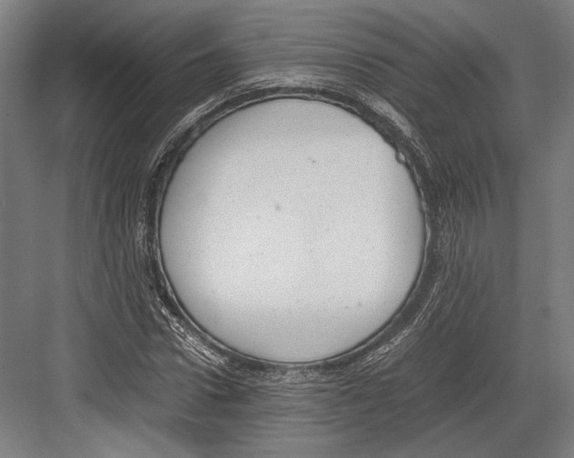 X0000081570922200702121418