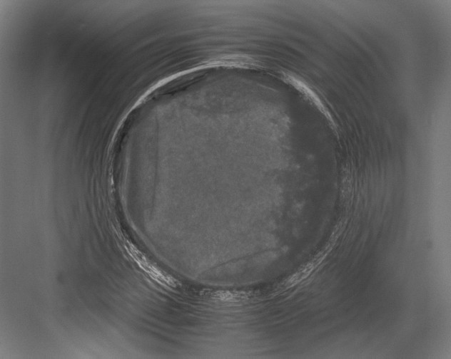 X0000081570923200702121418