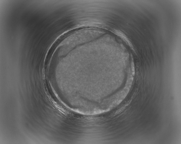 X0000081570924200702121418