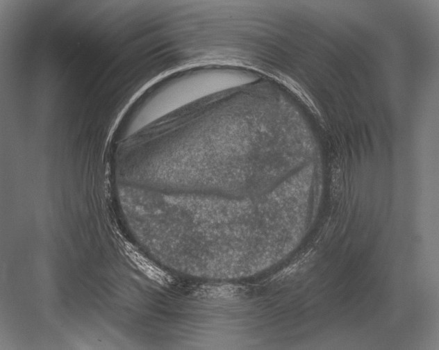 X0000081570926200702121418