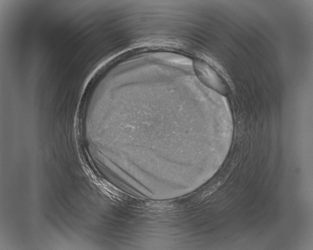 X0000081570928200702121418