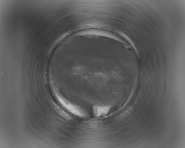 X0000081570930200702121418