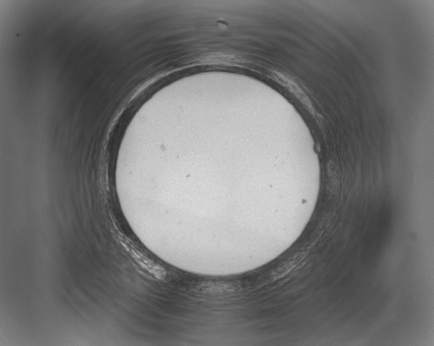 X0000081570931200702121418