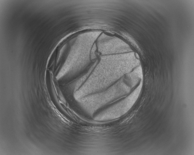 X0000081570932200702121418