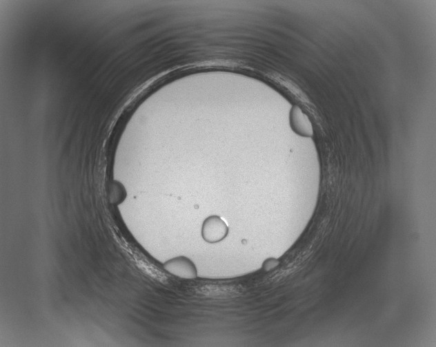 X0000081570933200702121418