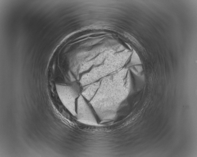 X0000081570934200702121418