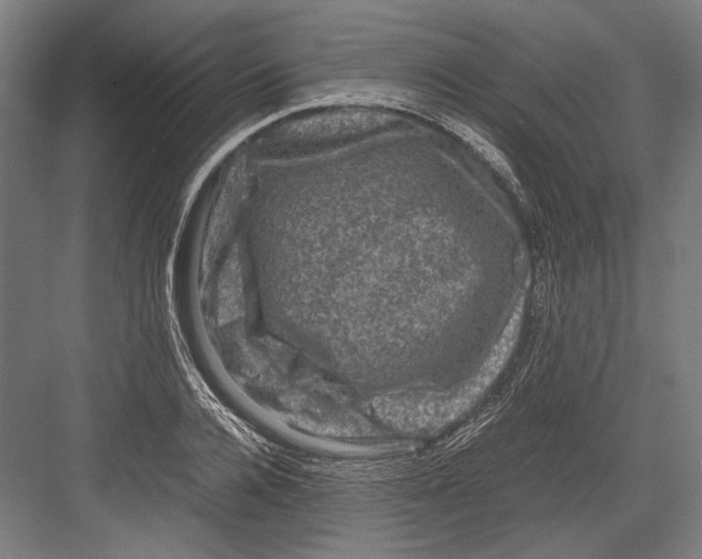 X0000081570936200702121418