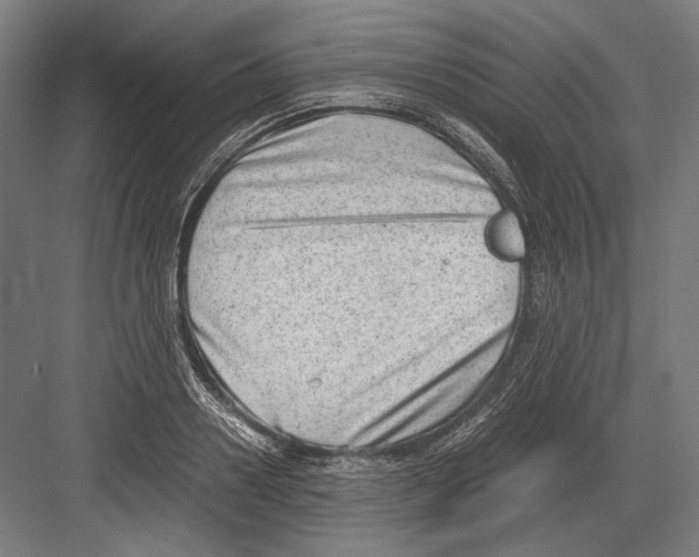 X0000081570938200702121418