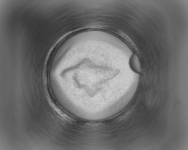 X0000081570939200702121418