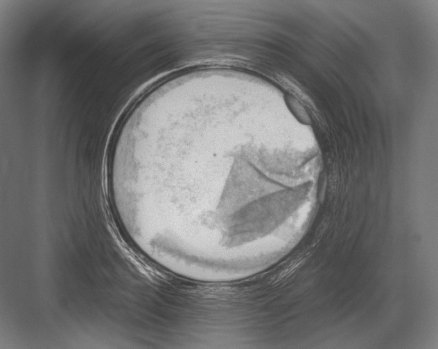 X0000081570940200702121418