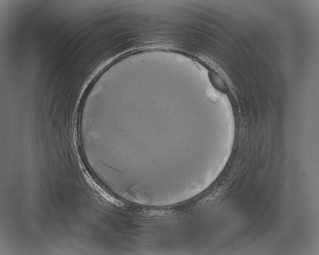 X0000081570941200702121418