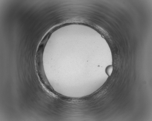 X0000081570942200702121418