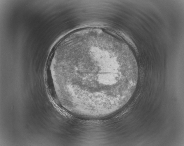 X0000081570944200702121418