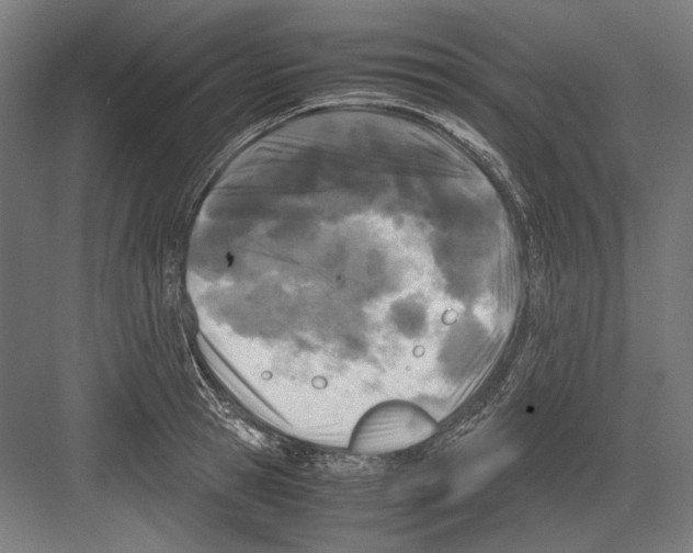 X0000081570945200702121418