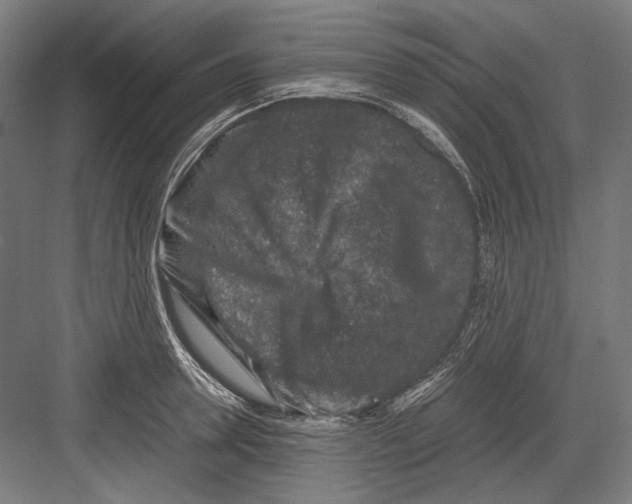 X0000081570946200702121418