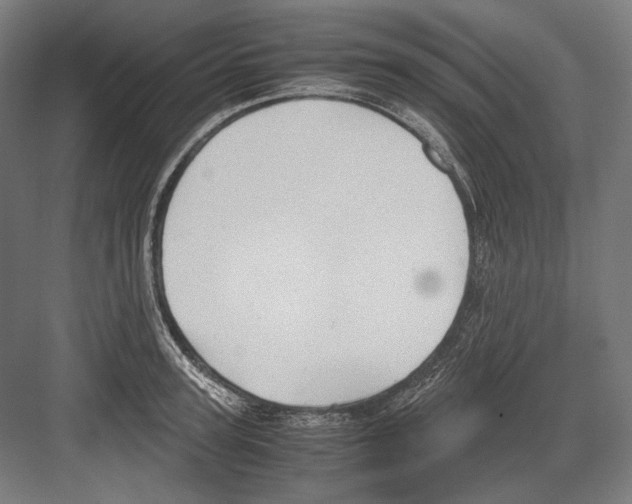 X0000081570947200702121418