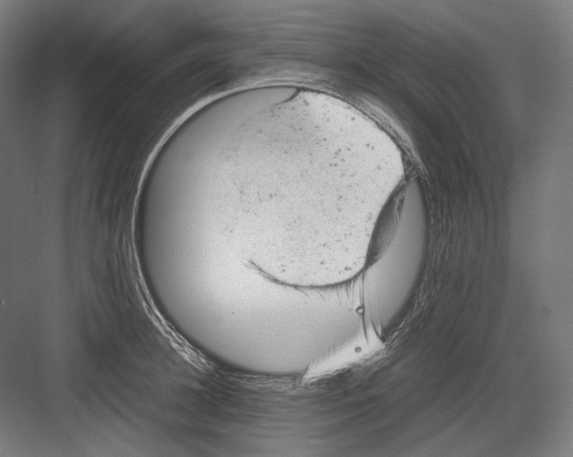 X0000081570948200702121418