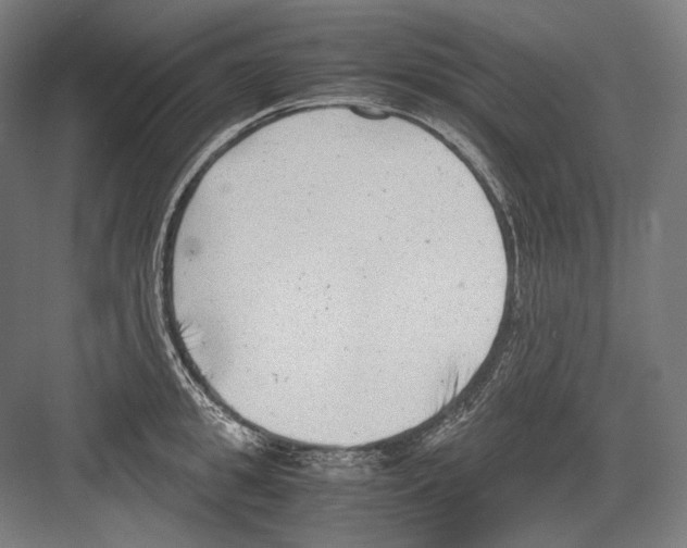 X0000081570949200702121418