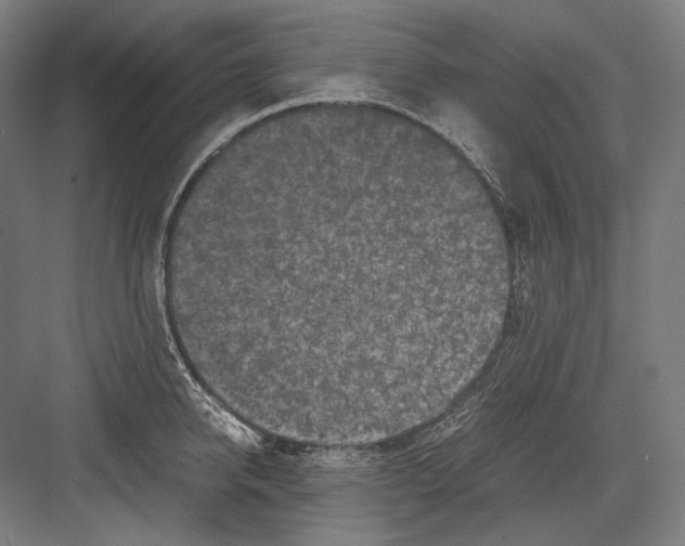 X0000081570950200702121418