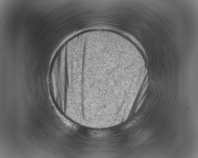 X0000081570951200702121418