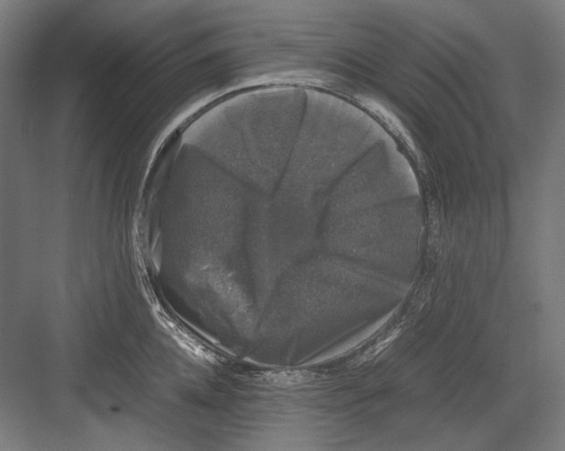 X0000081570952200702121418