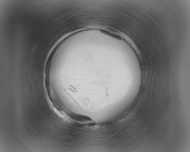 X0000081570955200702121418