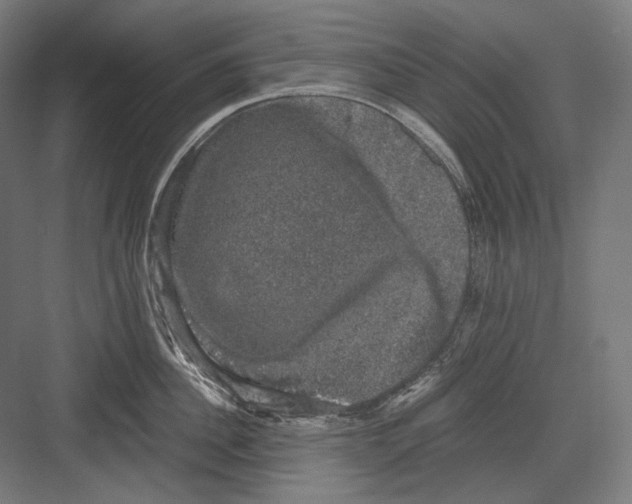 X0000081570956200702121418