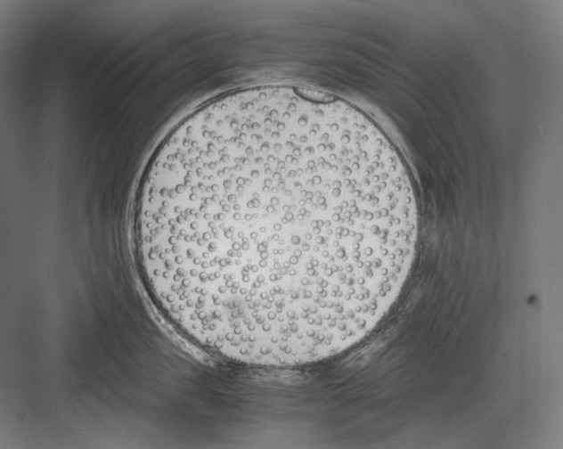 X0000081570957200702121418