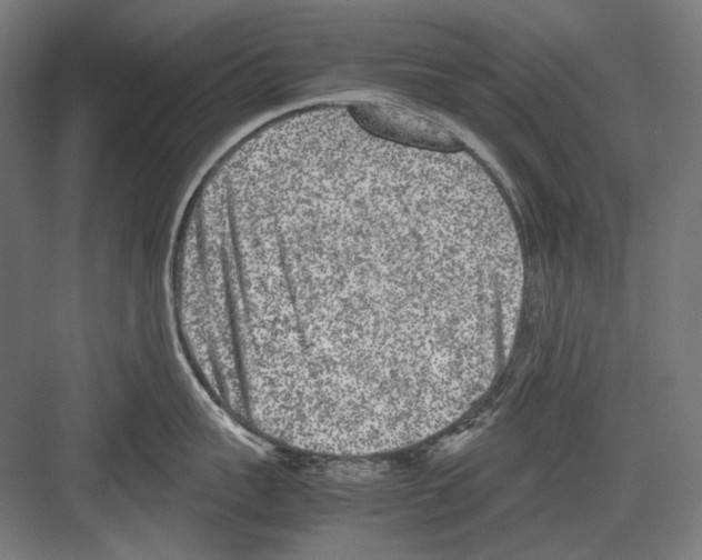 X0000081570959200702121418