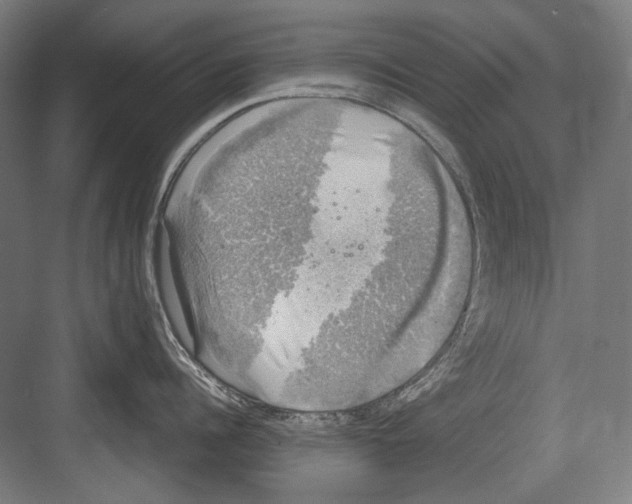 X0000081570960200702121418