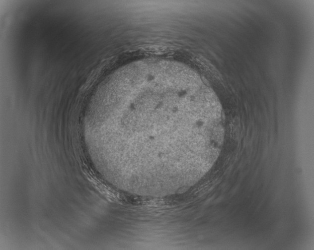 X0000081570961200702121417