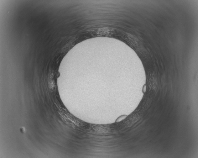 X0000081570962200702121417