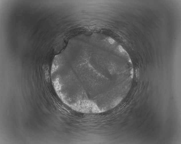 X0000081570963200702121417