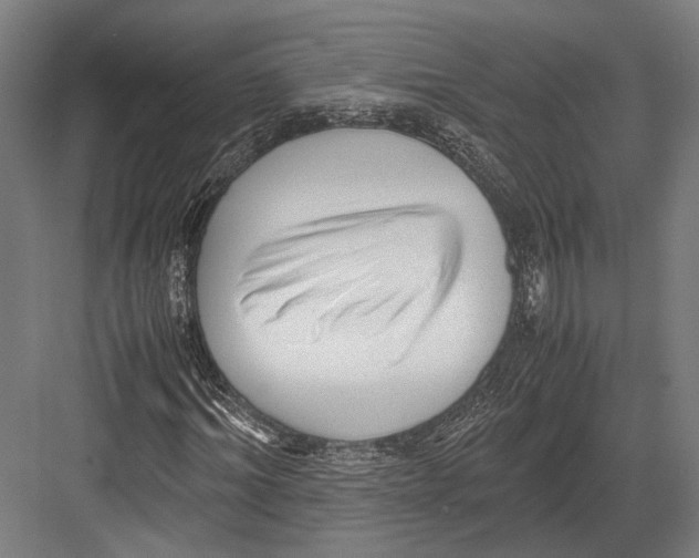 X0000081570964200702121417