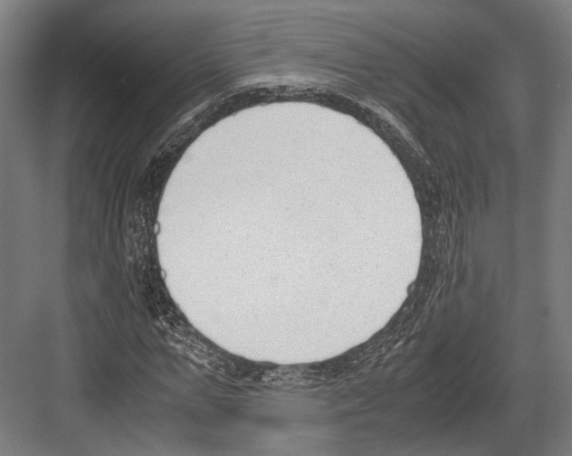 X0000081570967200702121417