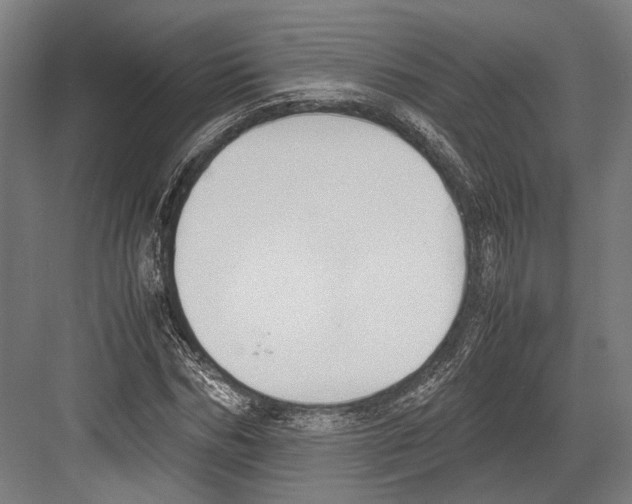 X0000081570970200702121417