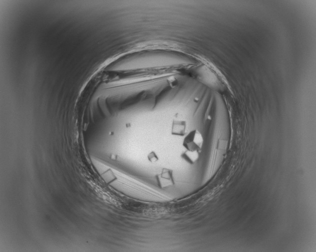 X0000081570973200702121417