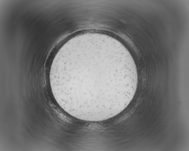 X0000081570974200702121417