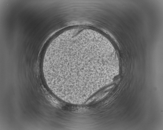 X0000081570975200702121417