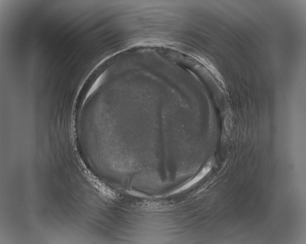 X0000081570976200702121417