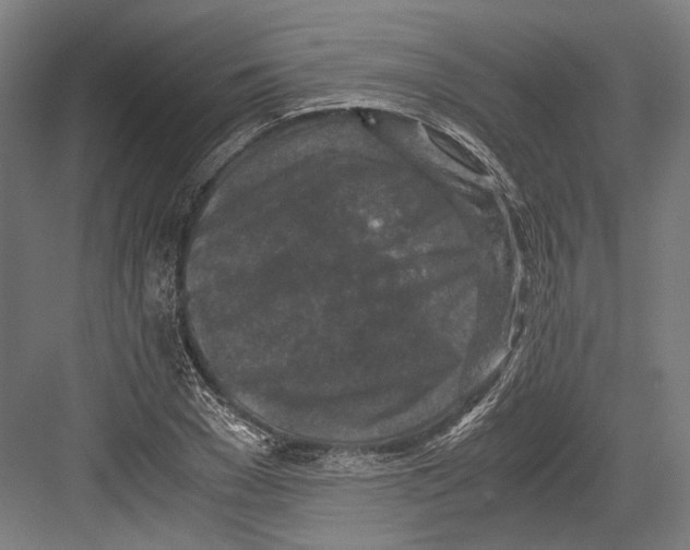 X0000081570977200702121417