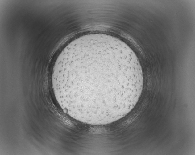 X0000081570978200702121417