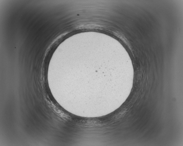 X0000081570979200702121417