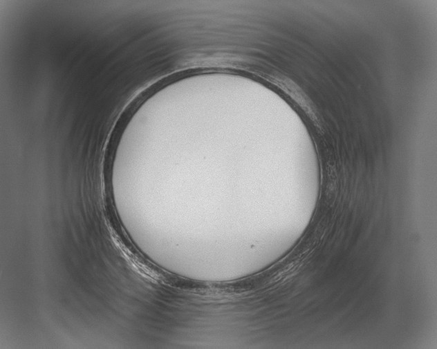 X0000081570980200702121417