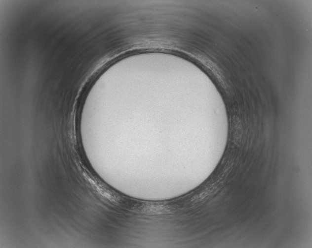 X0000081570982200702121417