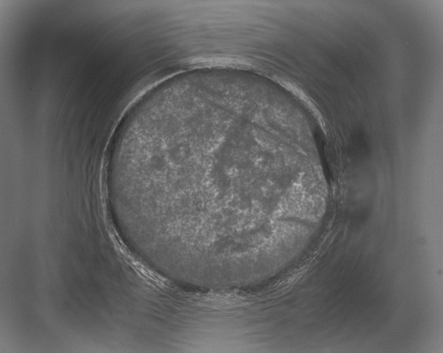 X0000081570983200702121417