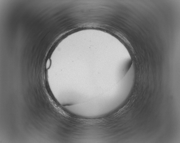 X0000081570984200702121417